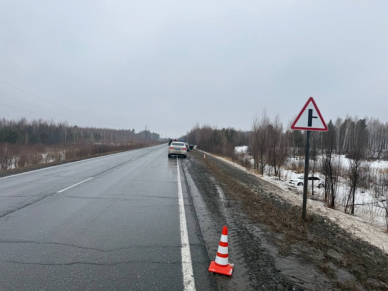 В Ярковском районе заяц спровоцировал ДТП, пострадала семья