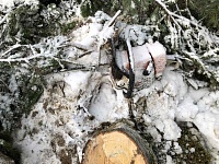За гибель рабочего, придавленного деревом в Уватском районе, ответит его коллега