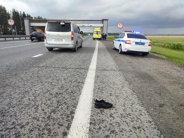 На трассе Екатеринбург-Тюмень погиб пешеход