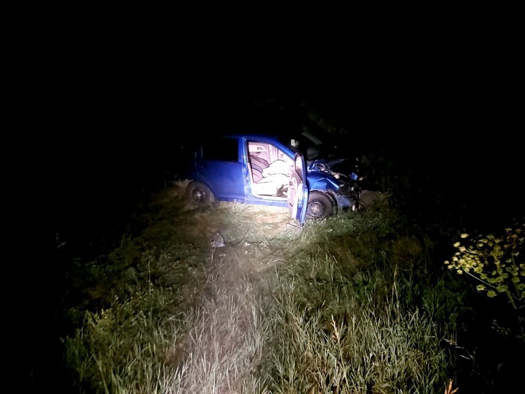 Под Ялуторовском двое детей пострадали в результате ДТП