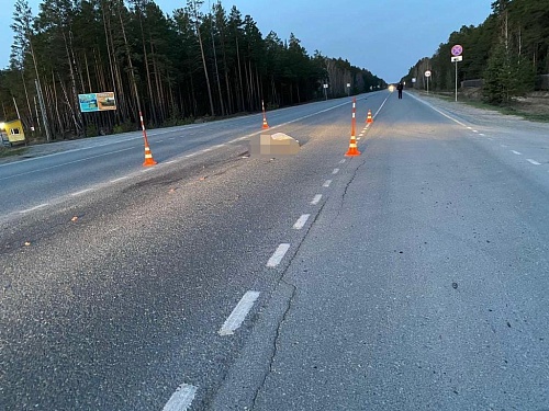 На трассе Тюмень – Богандинский насмерть сбили пешехода