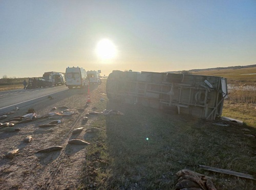 На трассе Тюмень - Омск опрокинулась «Газель» после столкновения с иномаркой