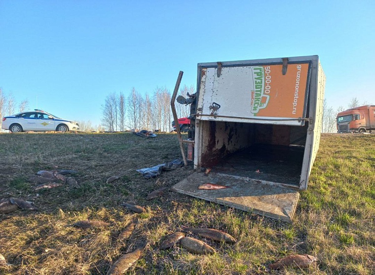 На трассе Тюмень - Омск опрокинулась «Газель» после столкновения с иномаркой