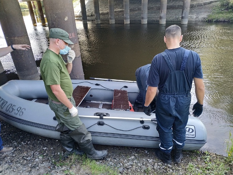 На Лесобазе нашли тело предположительно Насти Муравьевой. Онлайн-репортаж с места страшной находки