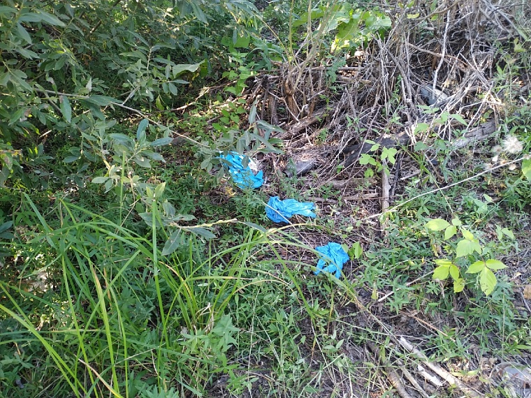 На Лесобазе нашли тело предположительно Насти Муравьевой. Онлайн-репортаж с места страшной находки