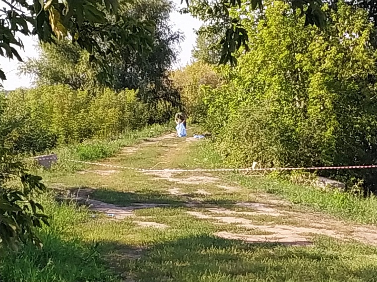 На Лесобазе нашли тело предположительно Насти Муравьевой. Онлайн-репортаж с места страшной находки