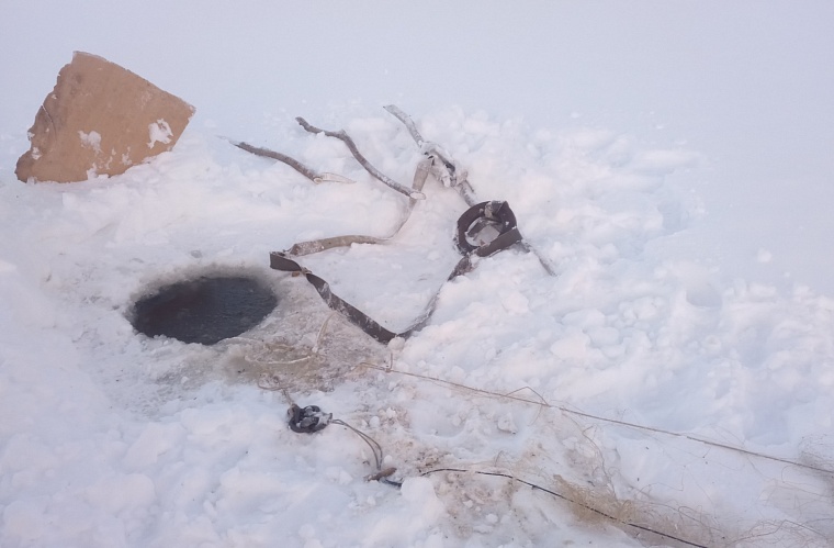 Тобольский рыбак попал под статью за вылов краснокнижного осетра
