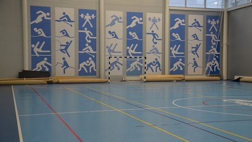 В Карелии школьница стала инвалидом после урока физкультуры