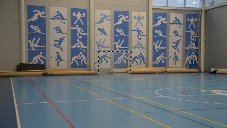 В Карелии школьница стала инвалидом после урока физкультуры