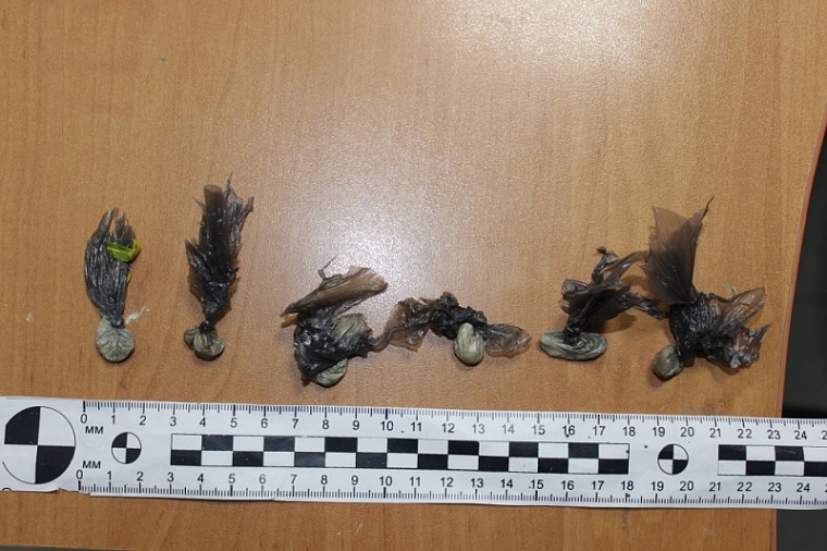 Визитера из Москвы взяли с героином на ул. Севастопольской в Тюмени