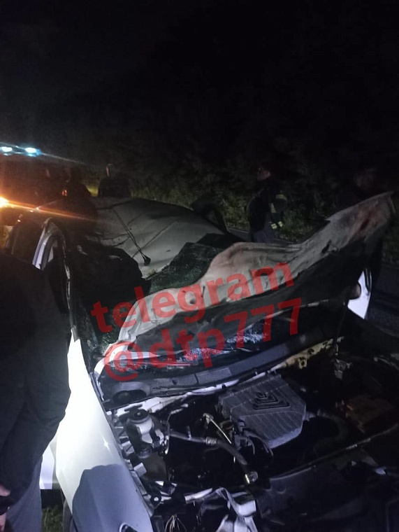 Тюменец погиб в ДТП с лошадью на трассе под Москвой