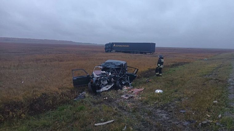 Два человека погибли в ДТП на федеральной трассе в Бердюжском районе