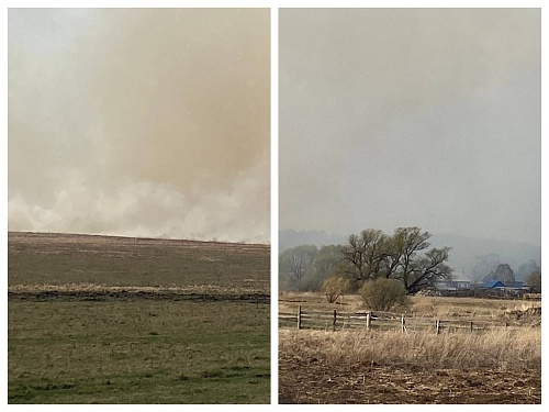 В Ялуторовском районе горит большое поле сухой травы