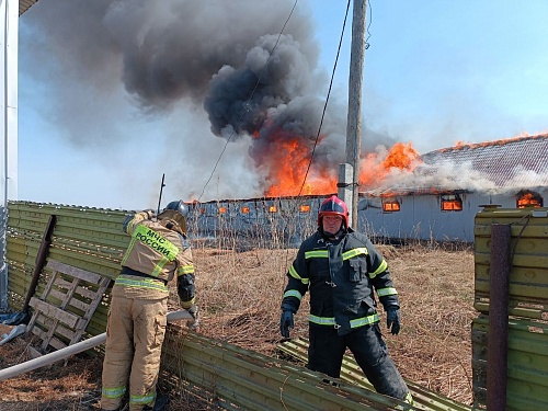 С горевшей фермы в Ишимском районе спасли 25 коров