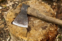 Тюменский дачник без разрешения вырубил деревья, которые ему мешали