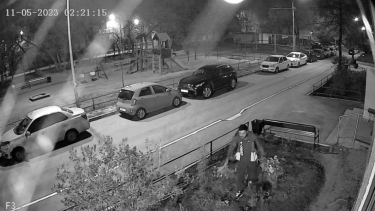 Воровская романтика: в центре Тюмени прохожий разорил дворовые клумбы