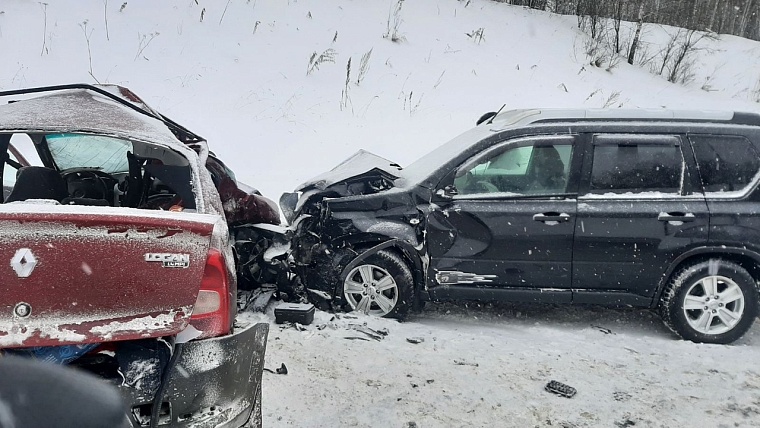 С начала года на дорогах Тюменской области погибли два человека