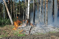 Очередной пожар: в районе Тараскуля горел лес