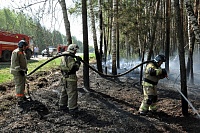 Очередной пожар: в районе Тараскуля горел лес