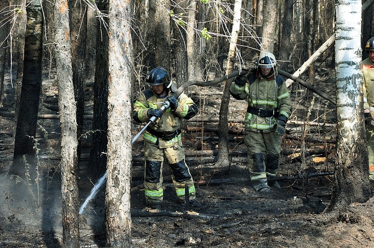 Очередной пожар: в районе Тараскуля горел лес