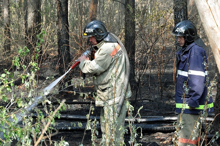 Очередной пожар: в районе Тараскуля горел лес
