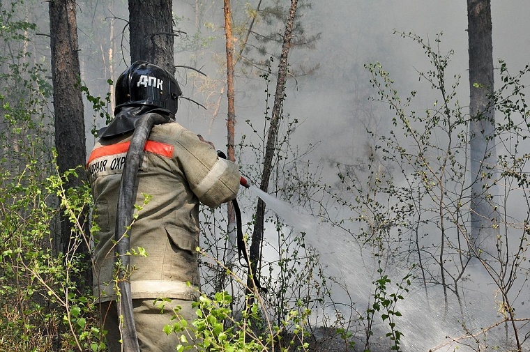 Очередной пожар: в районе Тараскуля горел лес