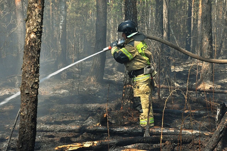 Очередной пожар: в районе Тараскуля горел лес