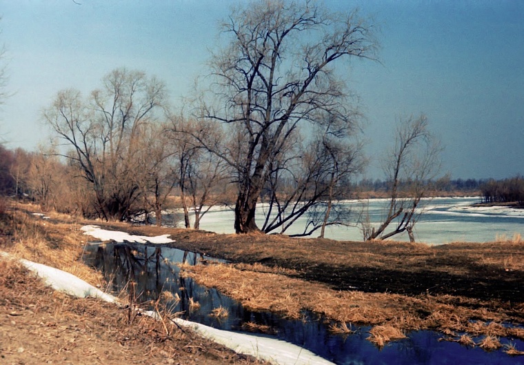 В тюменской ГИМС рассказали о гибели рыбака на Большом Тарманском озере