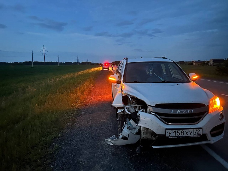 На трассе под Тюменью насмерть сбили женщину