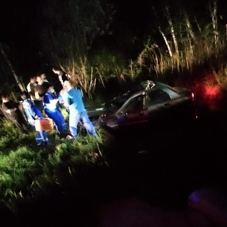 За выходные на тюменских дорогах сбили трех лосей