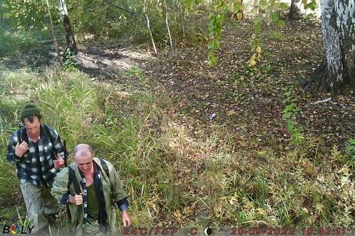 Двух предполагаемых браконьеров в Бердюжье поймали благодаря фотоловушкам