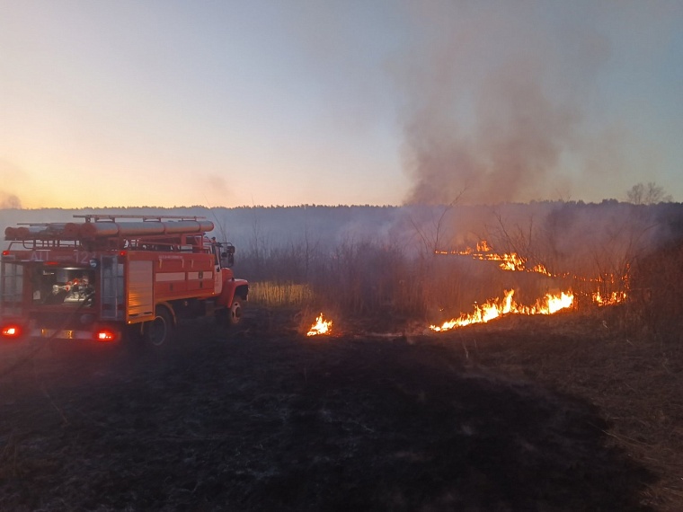Под Тюменью тушили крупный природный пожар