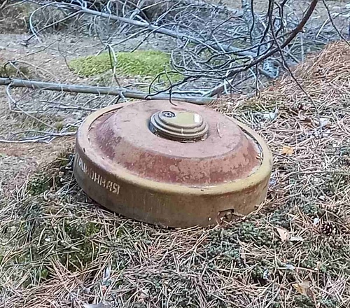В поселке под Тюменью нашли ржавую мину