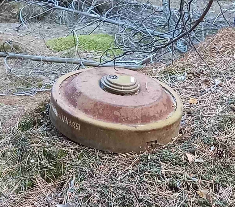 В поселке под Тюменью нашли ржавую мину
