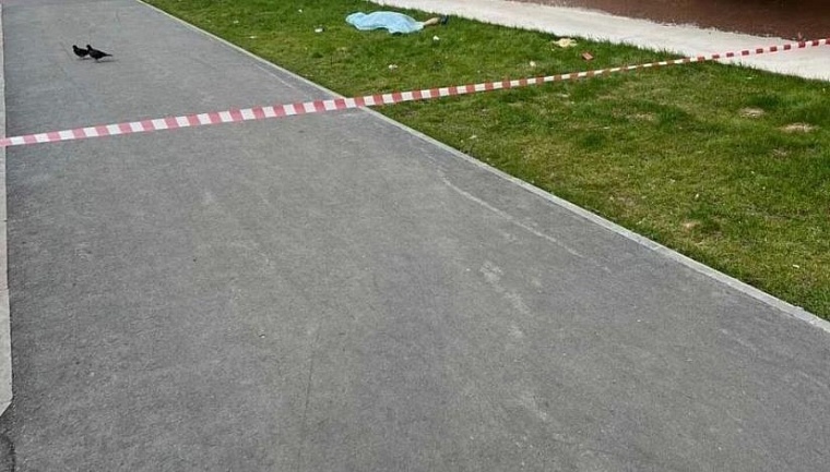 Собутыльник выбросил тюменца с балкона на улице Мельникайте