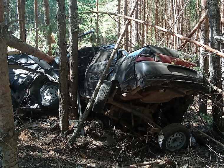 Съехал в лес и опрокинулся: в ДТП у санатория "Сибирь" погибли три человека