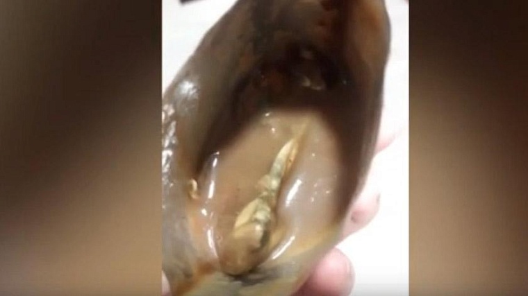 Мышь не проскочит: производитель детского питания исключил попадание грызуна в свою продукцию