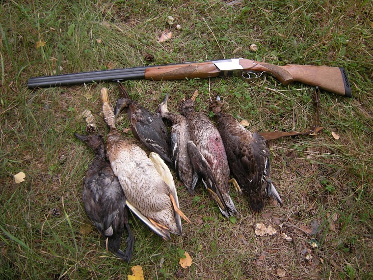 Нижнетавдинского охотника на год лишили права охотиться за плохое поведение