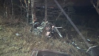 На трассе Тюмень - Екатеринбург при опасном маневре погиб водитель "Хонды" вместе со своей собакой