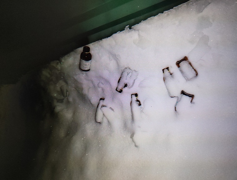 В Ишиме домработница украла миллион, а в Нижней Тавде пьяный охранник - весь запас этилового спирта из медпункта