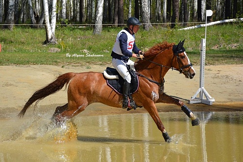 Тюменские наездники привезли семь медалей с соревнований по конному троеборью