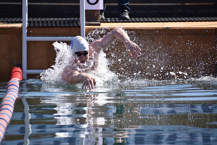 В Тюмень приедут моржи из России и зарубежья