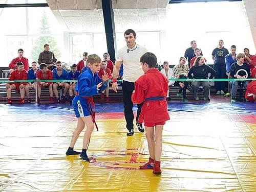 Секции самбо откроются во всех школах Тобольска