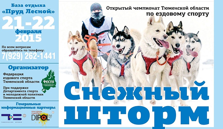 «Снежный шторм» 21 и 22 февраля: программа