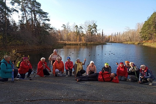 В Тюменской области проходит чемпионат по фоновой ходьбе