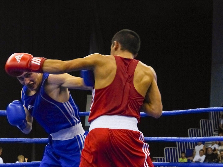 На тюменском ринге сразились думающие бойцы
