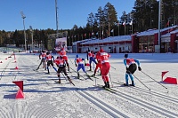 Кубок России принес лыжникам Тюменской области золотые награды