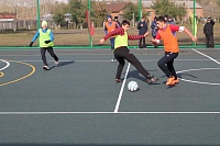 В сельских школах Тюменской области появятся спортивные площадки