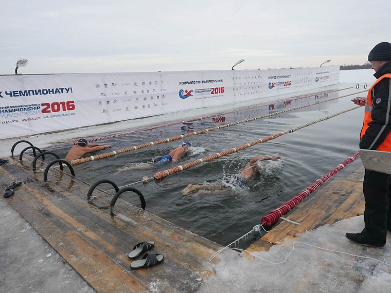 В декабрьских заплывах приняли участие более 350 моржей из 7 стран