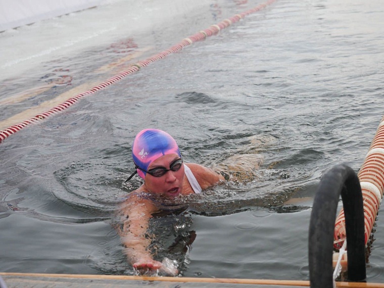 В декабрьских заплывах приняли участие более 350 моржей из 7 стран